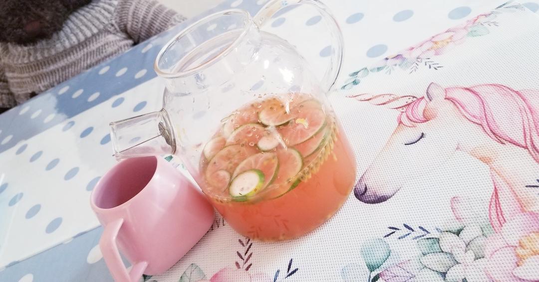 少女风不去壳蜂蜜柠檬百香果