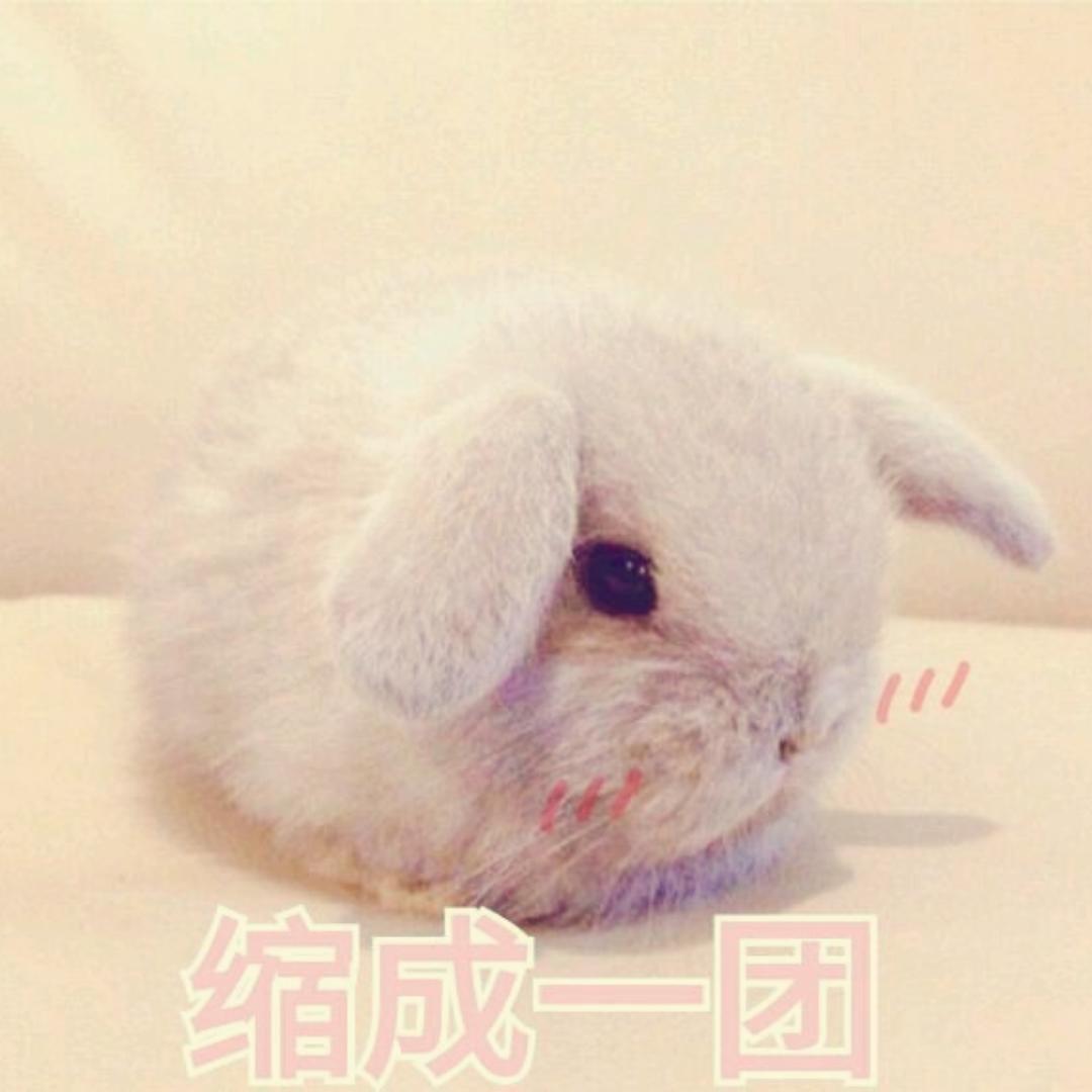 铁骨铮铮大伤逝