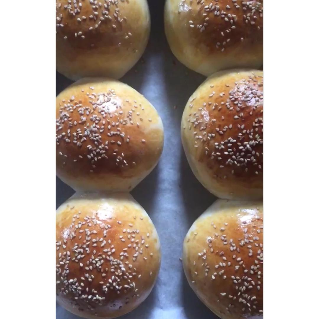汉堡胚（中种法）