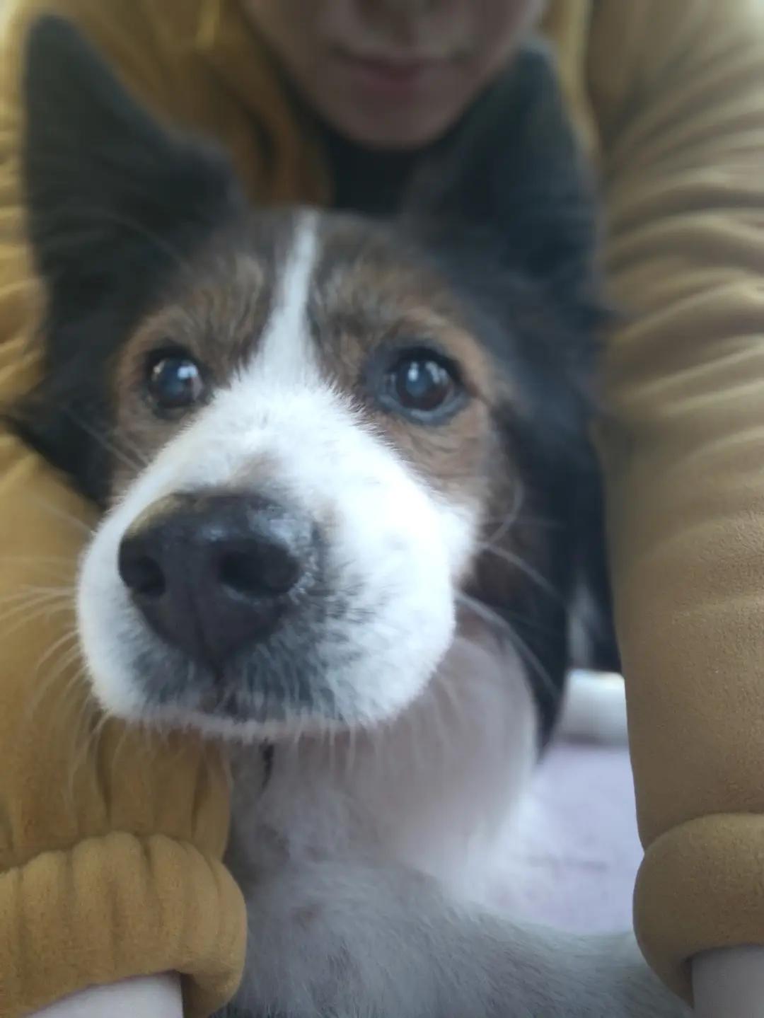 快乐的面包宝贝