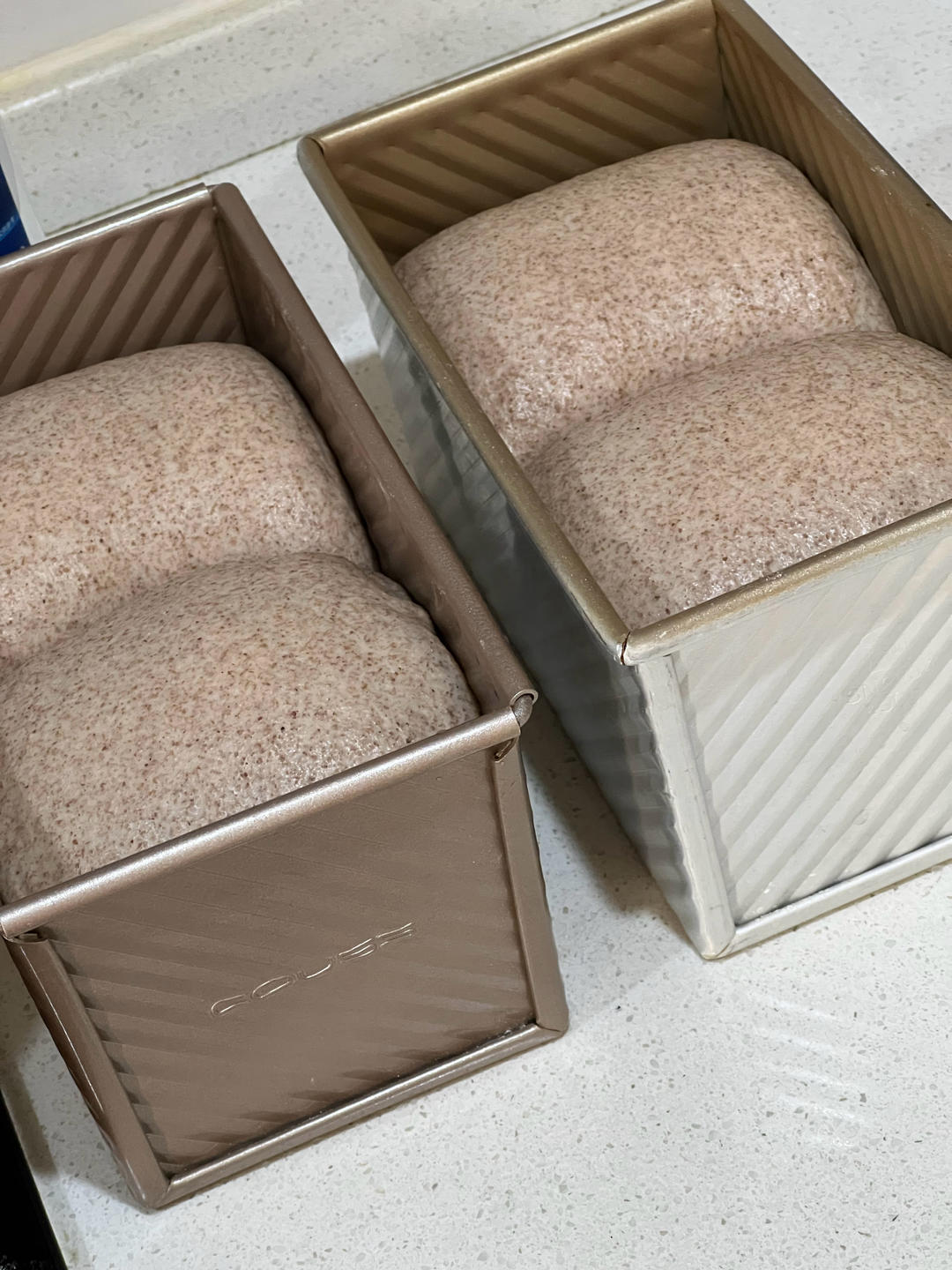 50%全麦吐司｜低糖低脂，吃起来不像是吃全麦的全麦吐司！