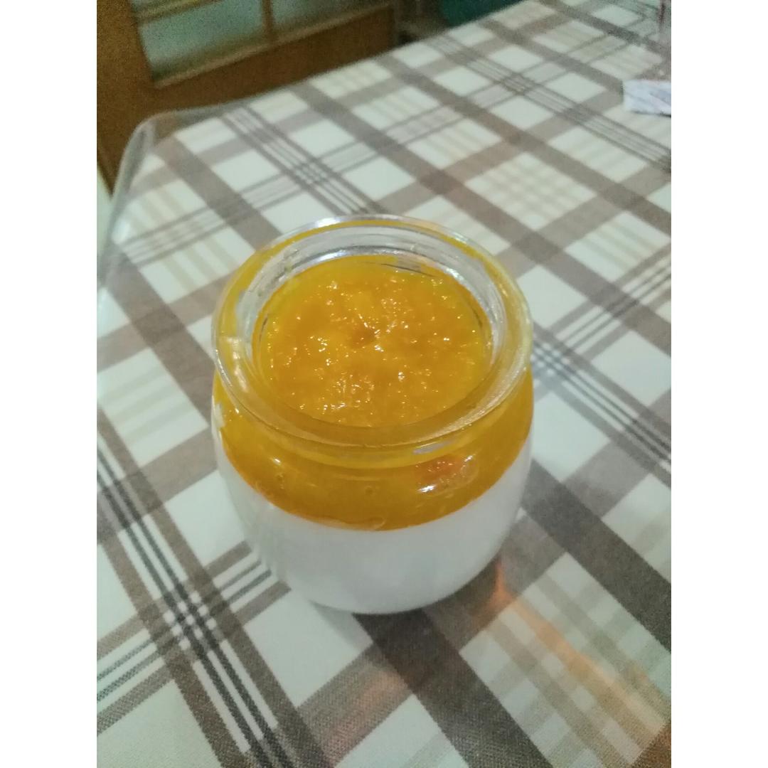 自制老酸奶