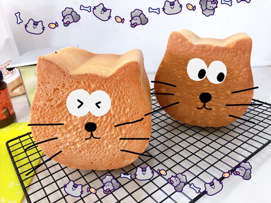 风靡日本的猫咪吐司🍞——龙猫吐司