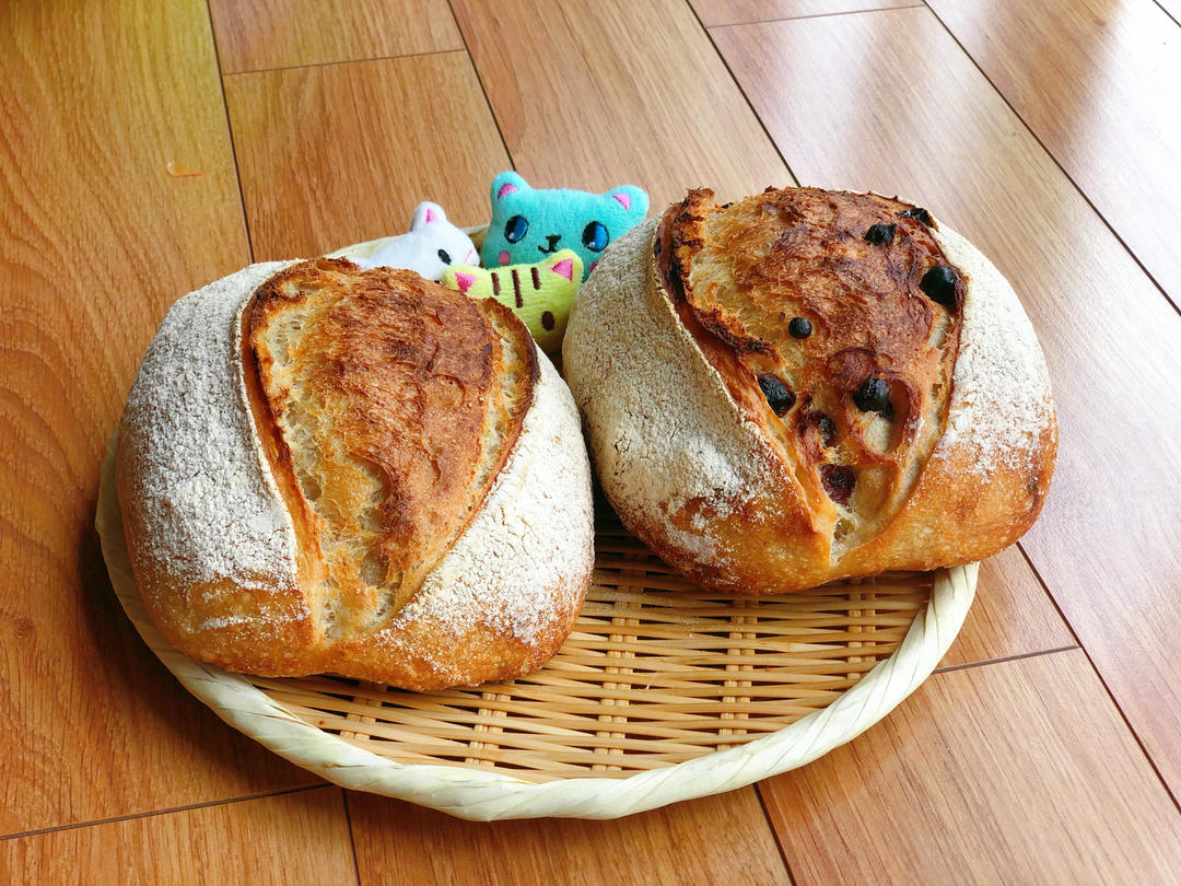 鲁邦种小白欧包（新手也能成功的懒人欧包）