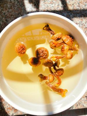鲜到让你转圈圈的汤品：姬松茸椰汁椰肉乌鸡汤的做法 步骤2