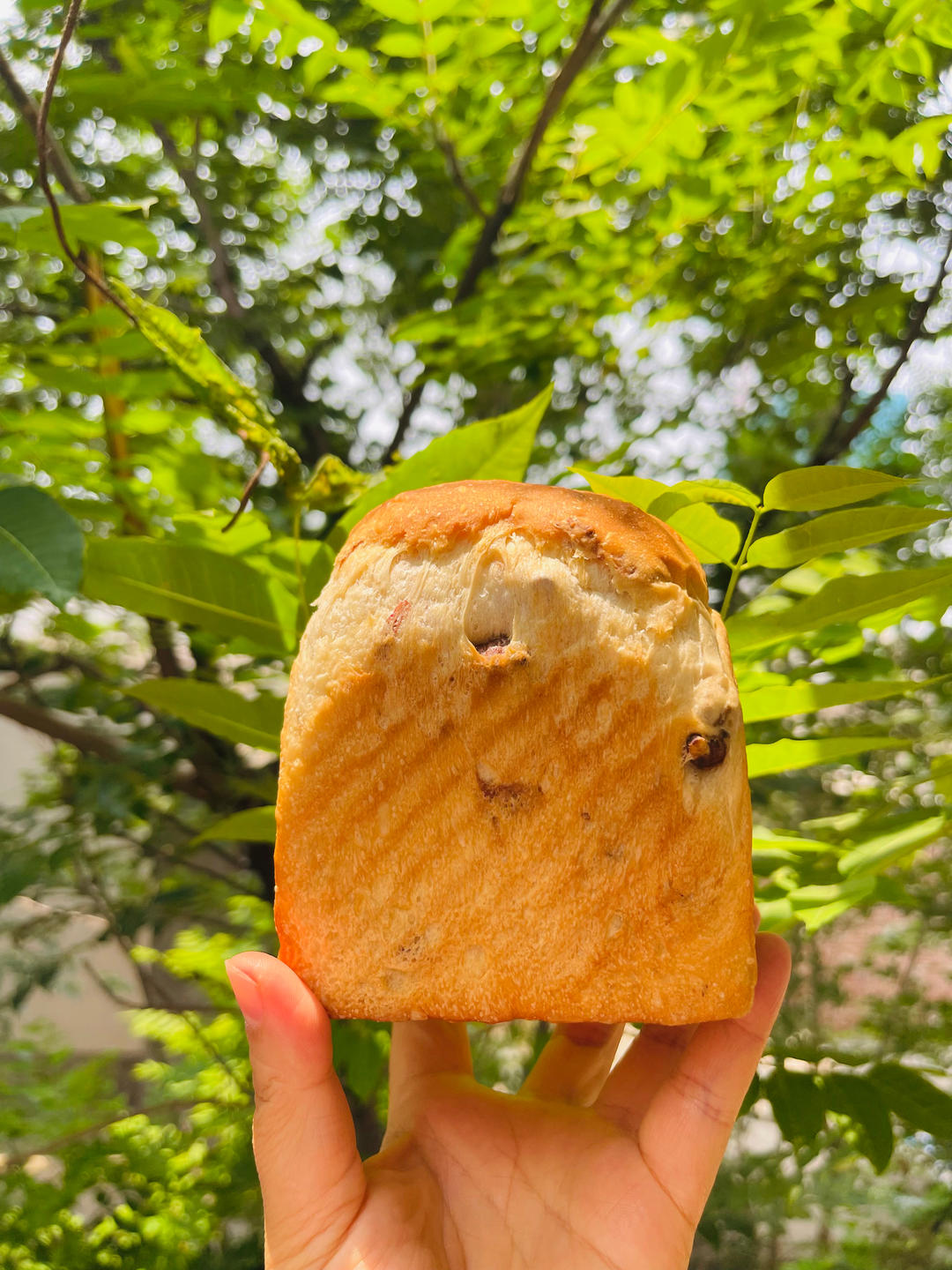 玫瑰核桃小土司