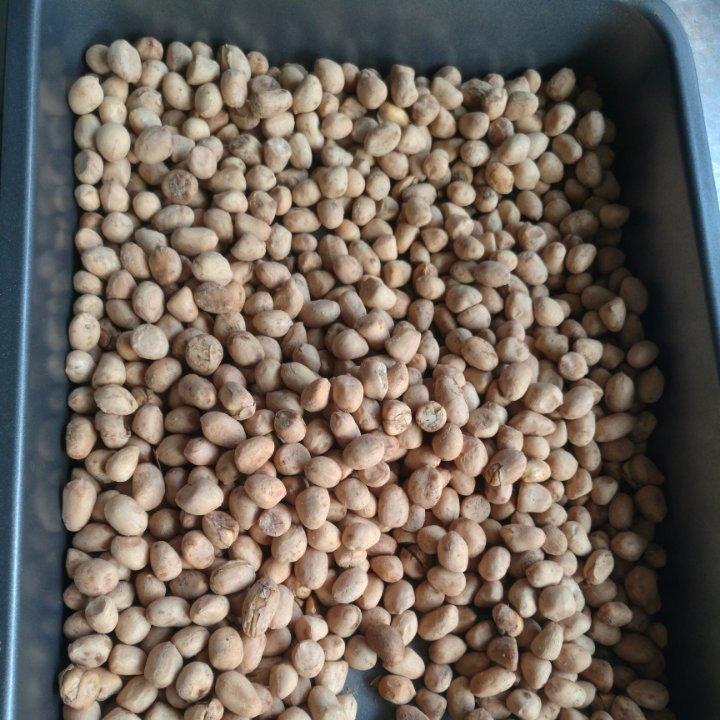 超级好吃的五香花生