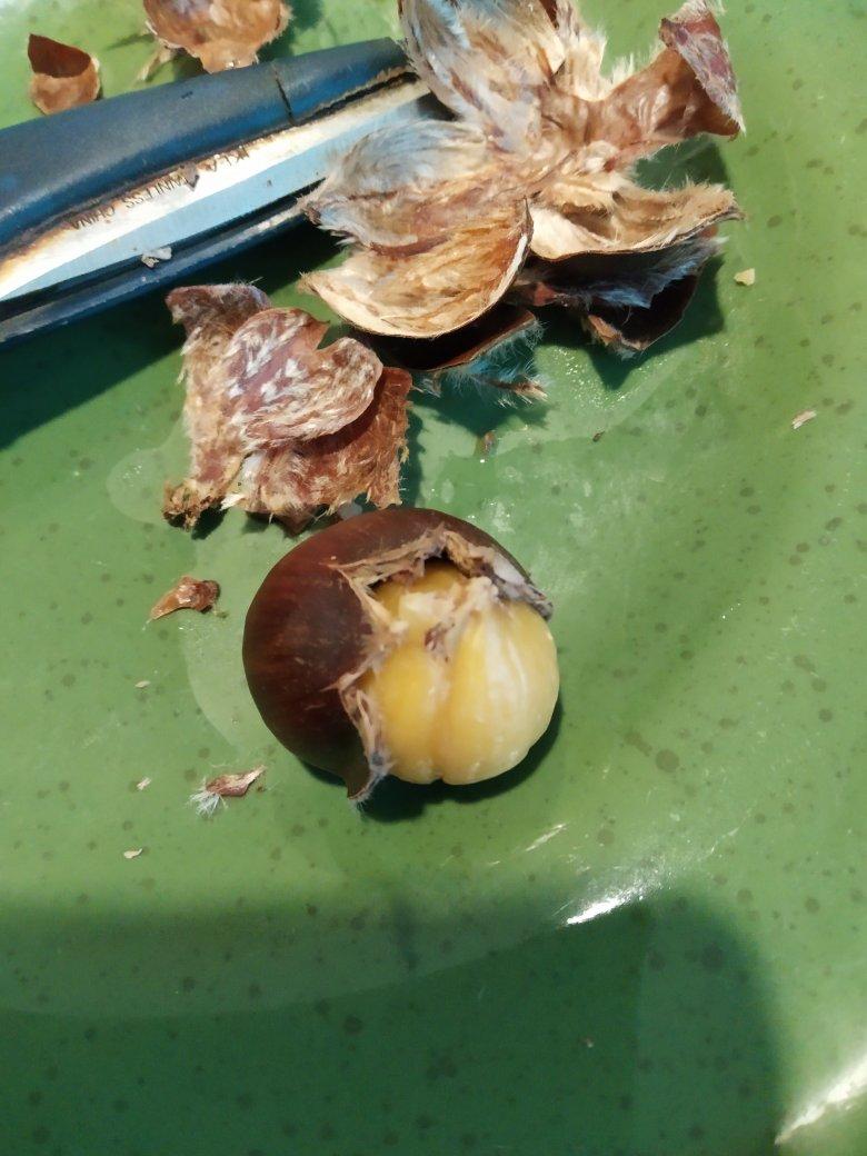 板栗这样做才好剥又好吃