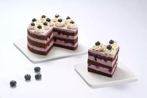 巧克力蓝莓裸蛋糕的做法 步骤14