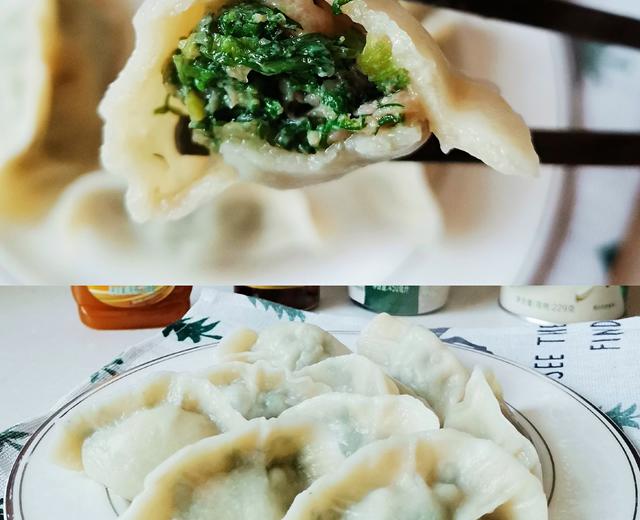 茴香馅饺子+太太乐鲜鸡汁芝麻香油的做法