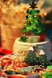 2013年圣诞甜心－糖霜圣诞树饼干(*^_^*)的做法 步骤9