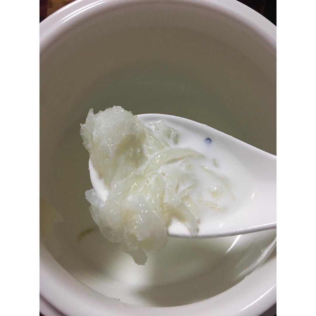 鲜奶炖燕窝