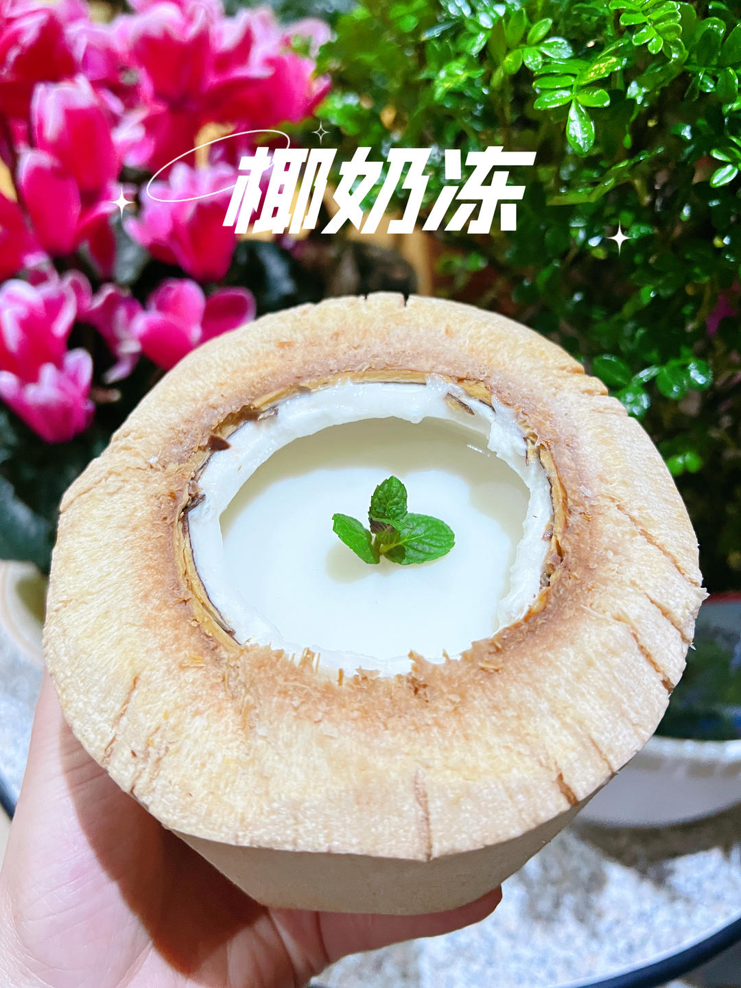 奶香椰奶冻🥥｜超简单