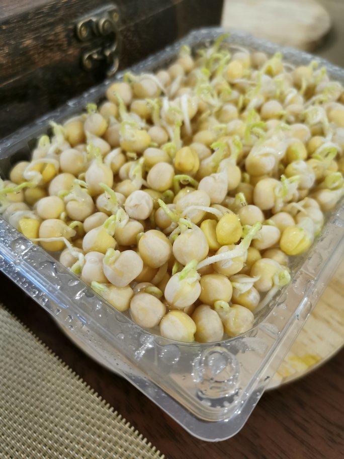 自发豌豆苗