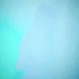 椰子树_F