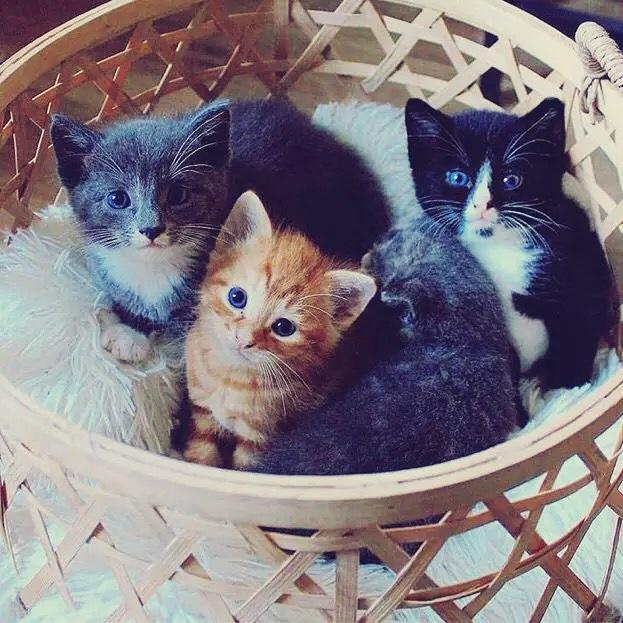 豆豆豆豆豆豆豆豆豆豆豆豆的厨房