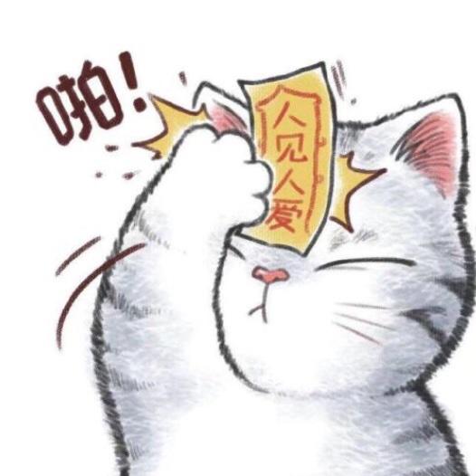 天天都上天