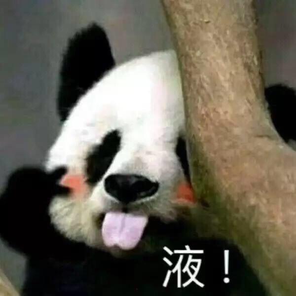 十八爆炒狗日