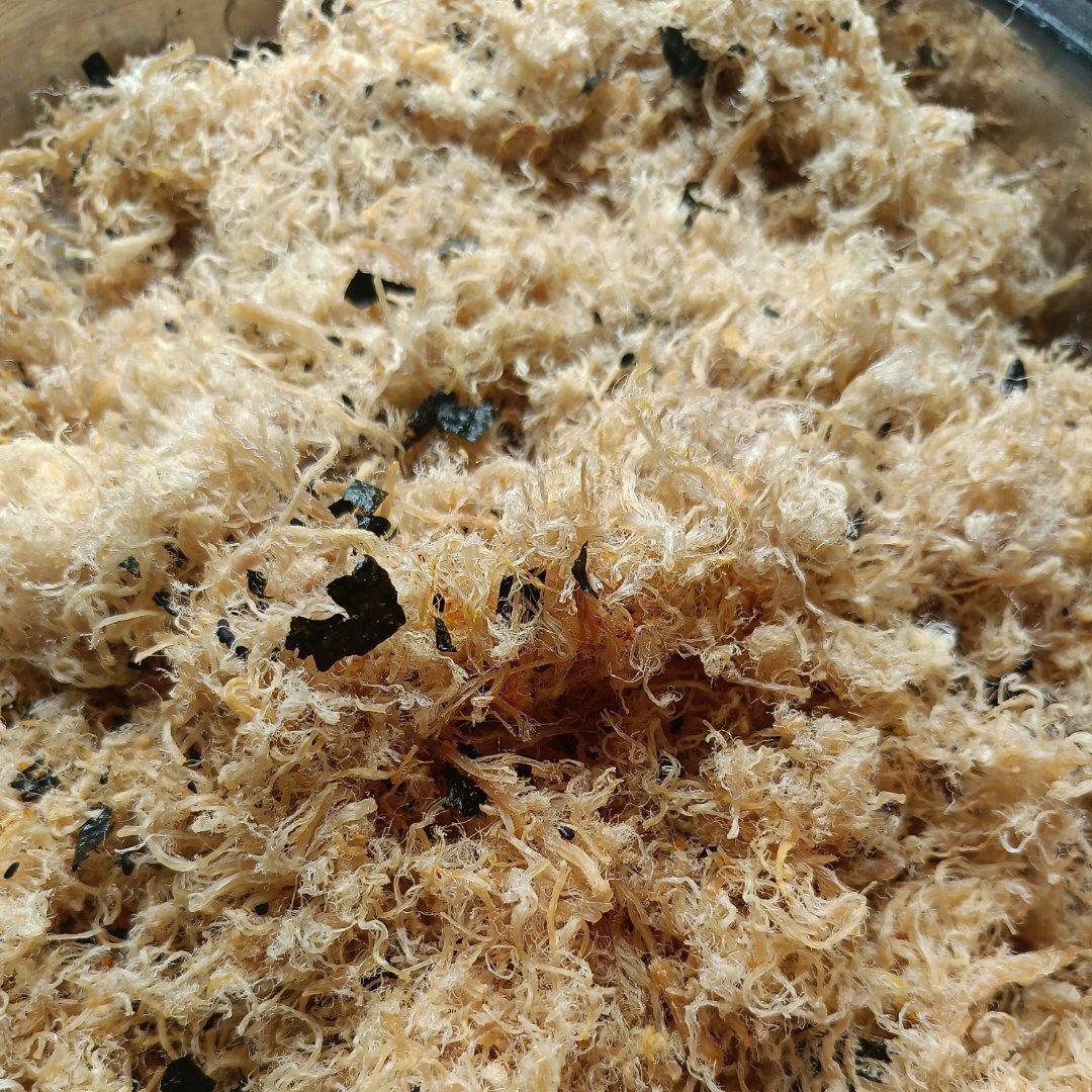 自制原味猪肉松    这么做轻松搞定    厨房小白一样能成功   附细节视频