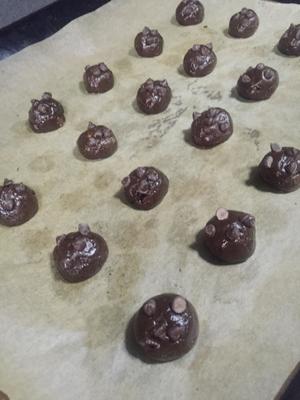 巧克力豆软心曲奇的做法 步骤7