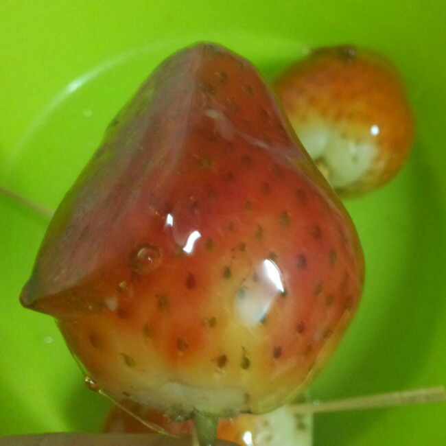 草莓冰糖葫芦儿