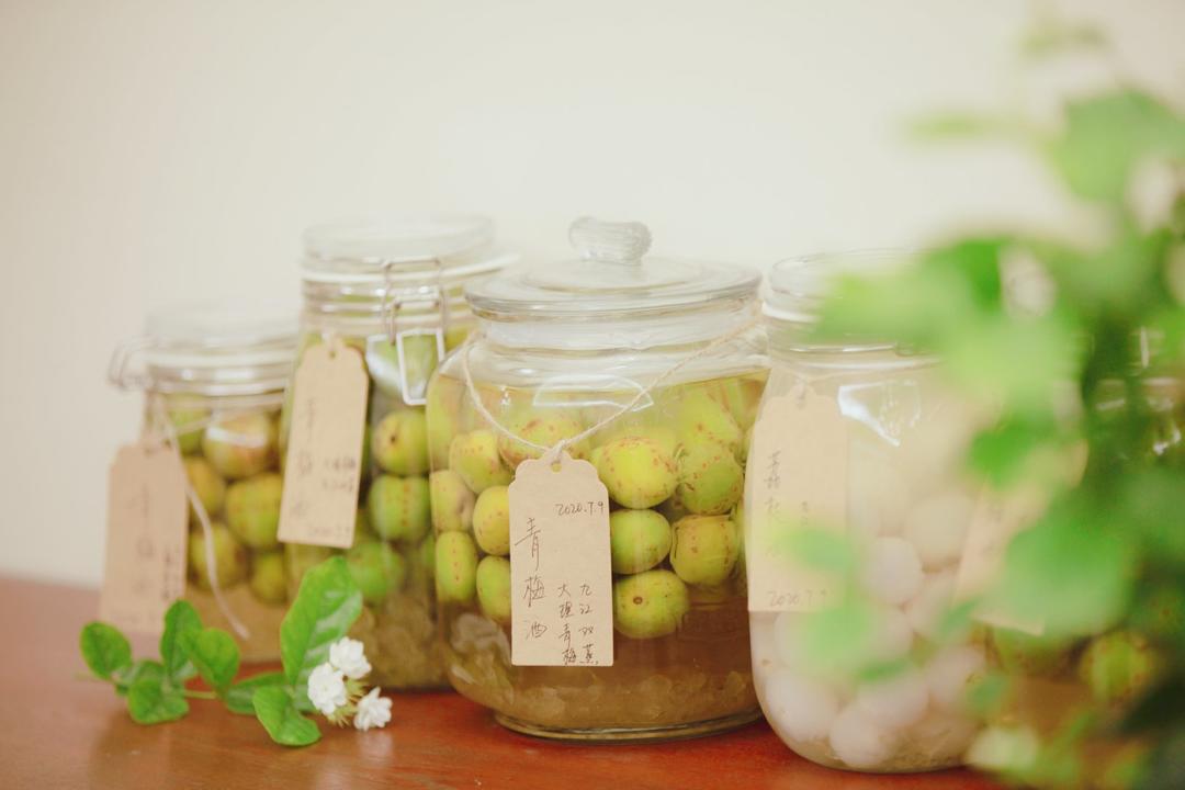 【青梅酒】梅子的沉醉时光（已填坑）