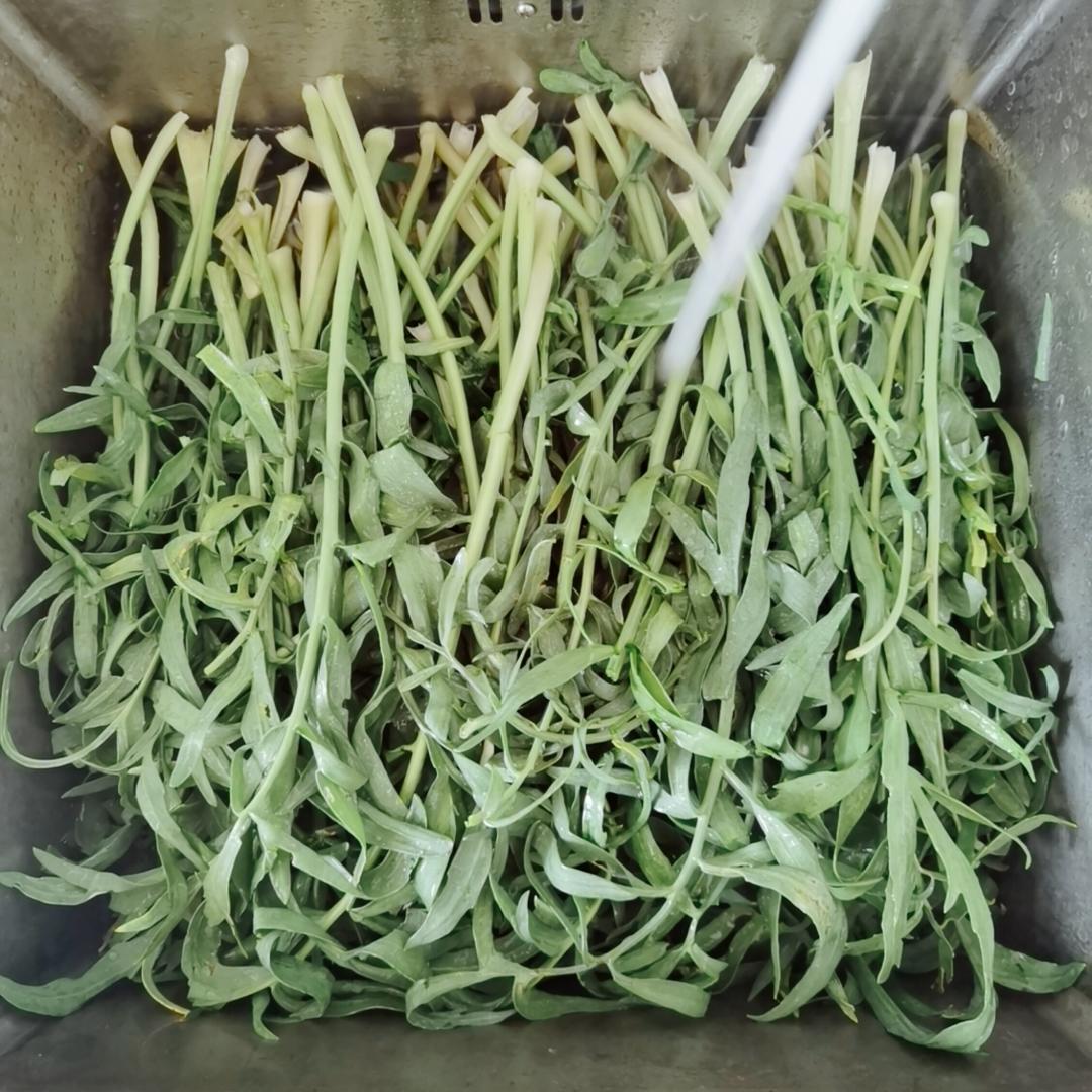 腌制沙盖菜