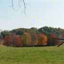 手机用户5338_4lg6