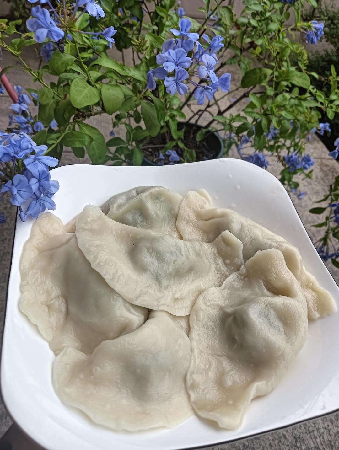 自制饺子皮(新手版)