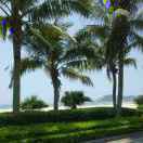 手机用户5293_gyr0的厨房