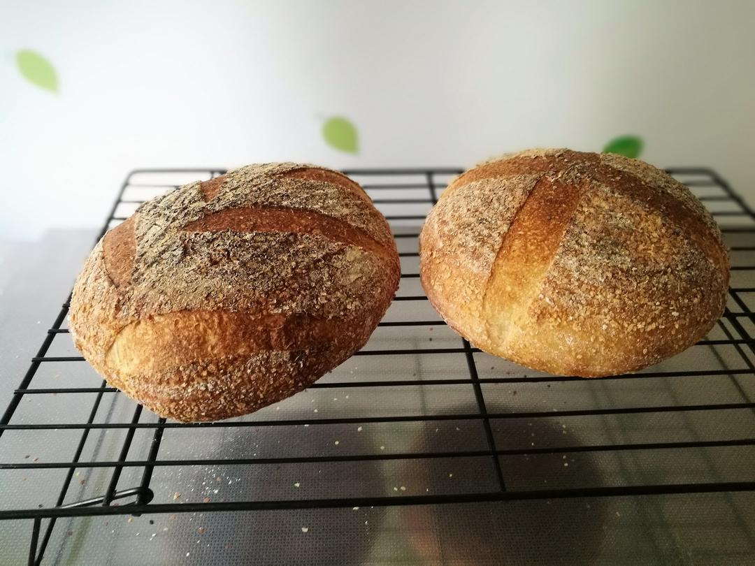 天然酵母全麦面包