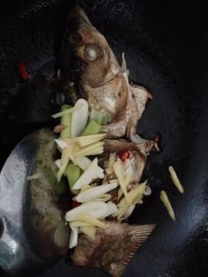 乳白色鱼头汤🐟的做法 步骤4