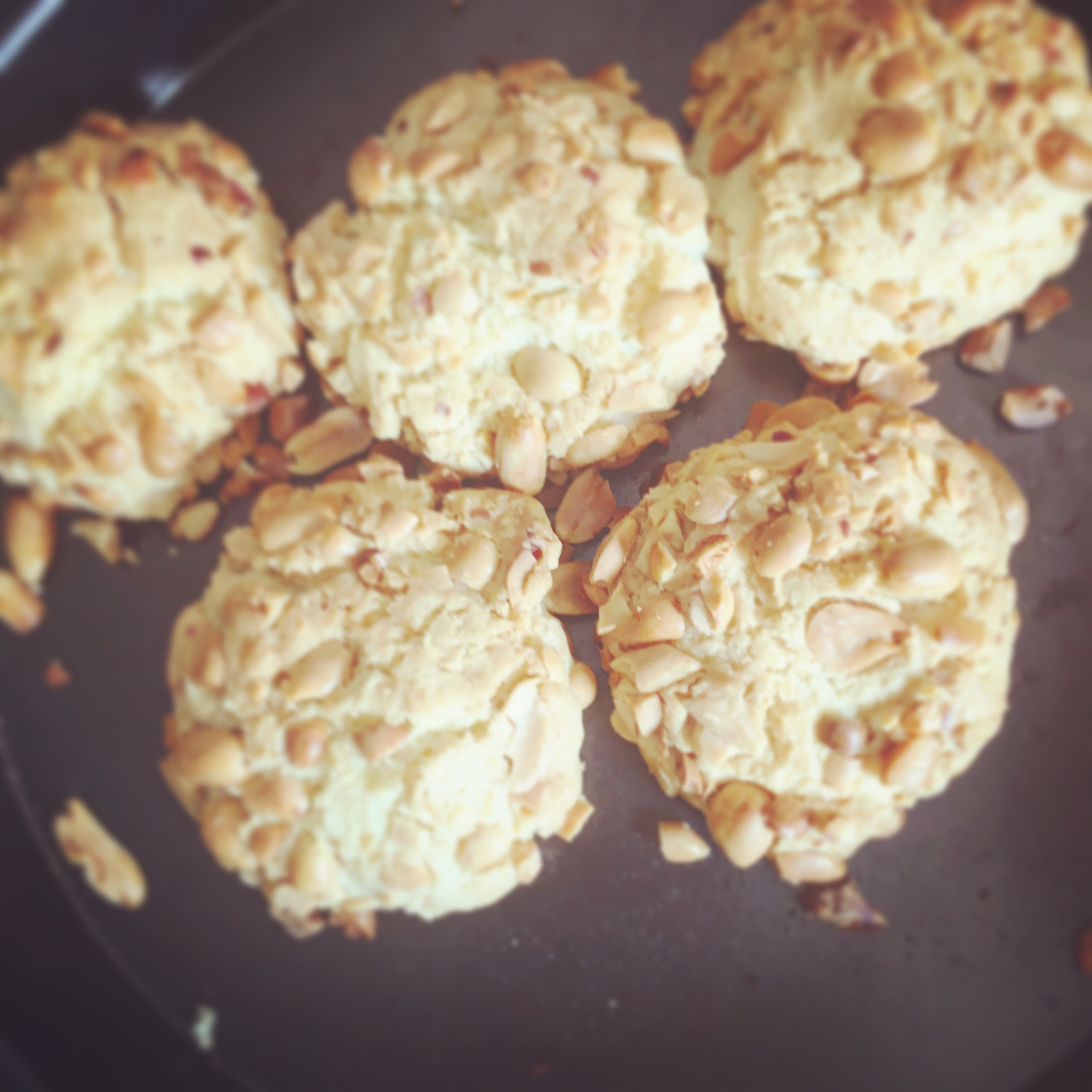 超级好吃的花生酥饼