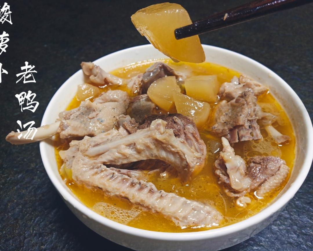 酸萝卜老鸭汤的做法