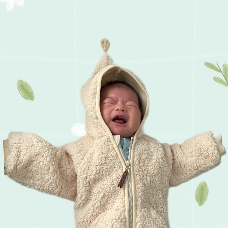 土豆养殖技术员