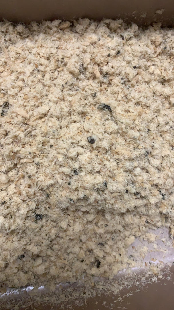 面包机做猪肉松