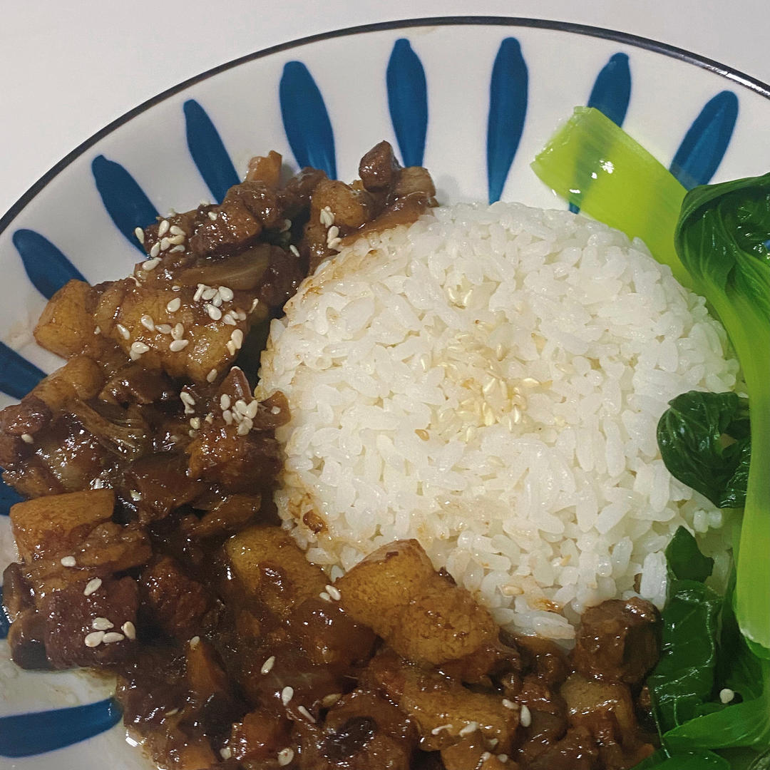 洋葱酥卤肉饭