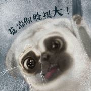 王蚊子的小马甲