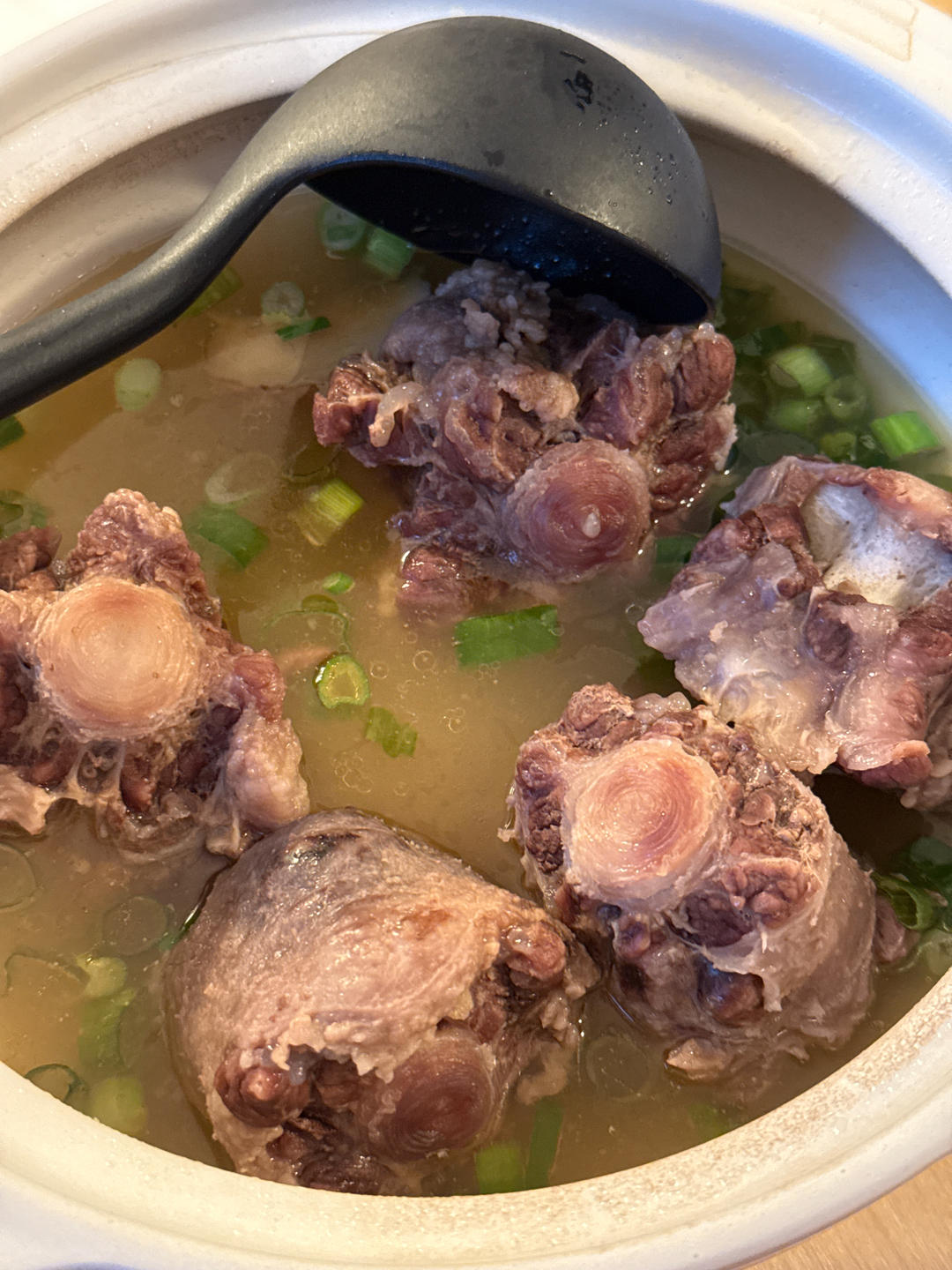 清炖🐂牛尾骨汤🍲