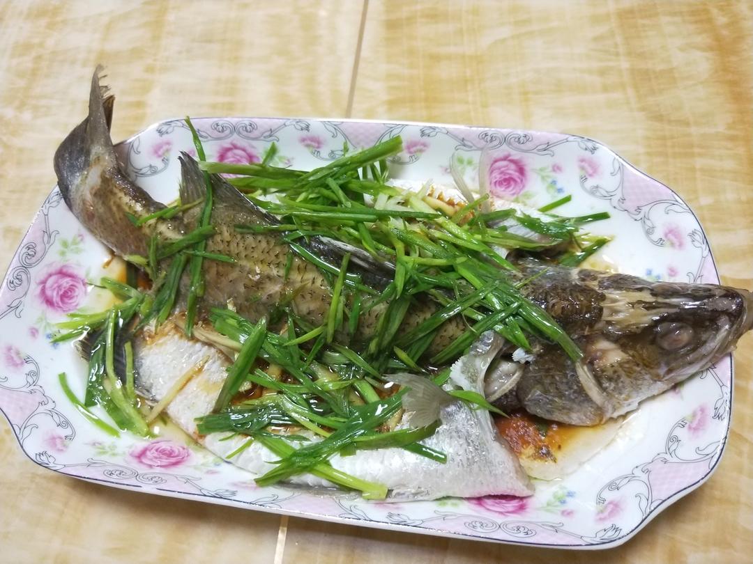 清蒸鱼（鲈鱼/多宝鱼/桂花鱼/石斑鱼……）
