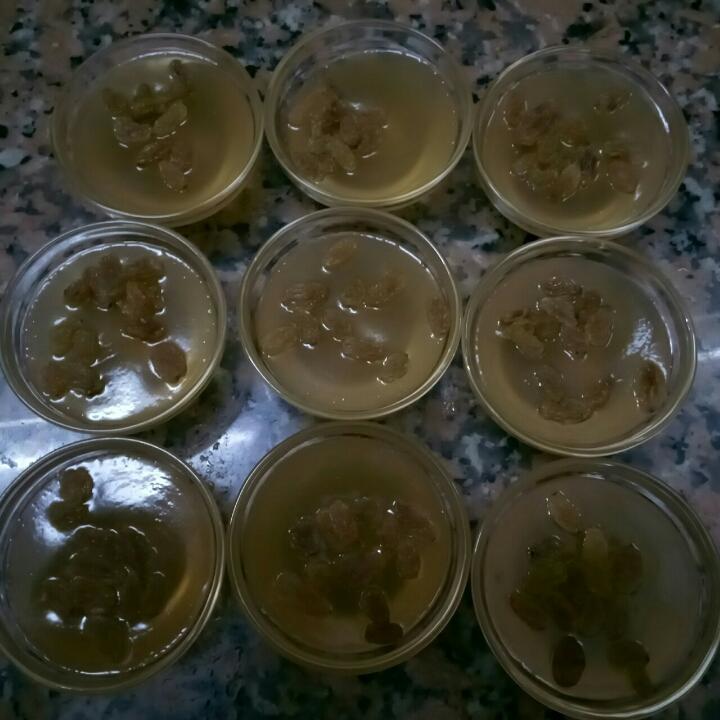 手机用户2735_wn9y