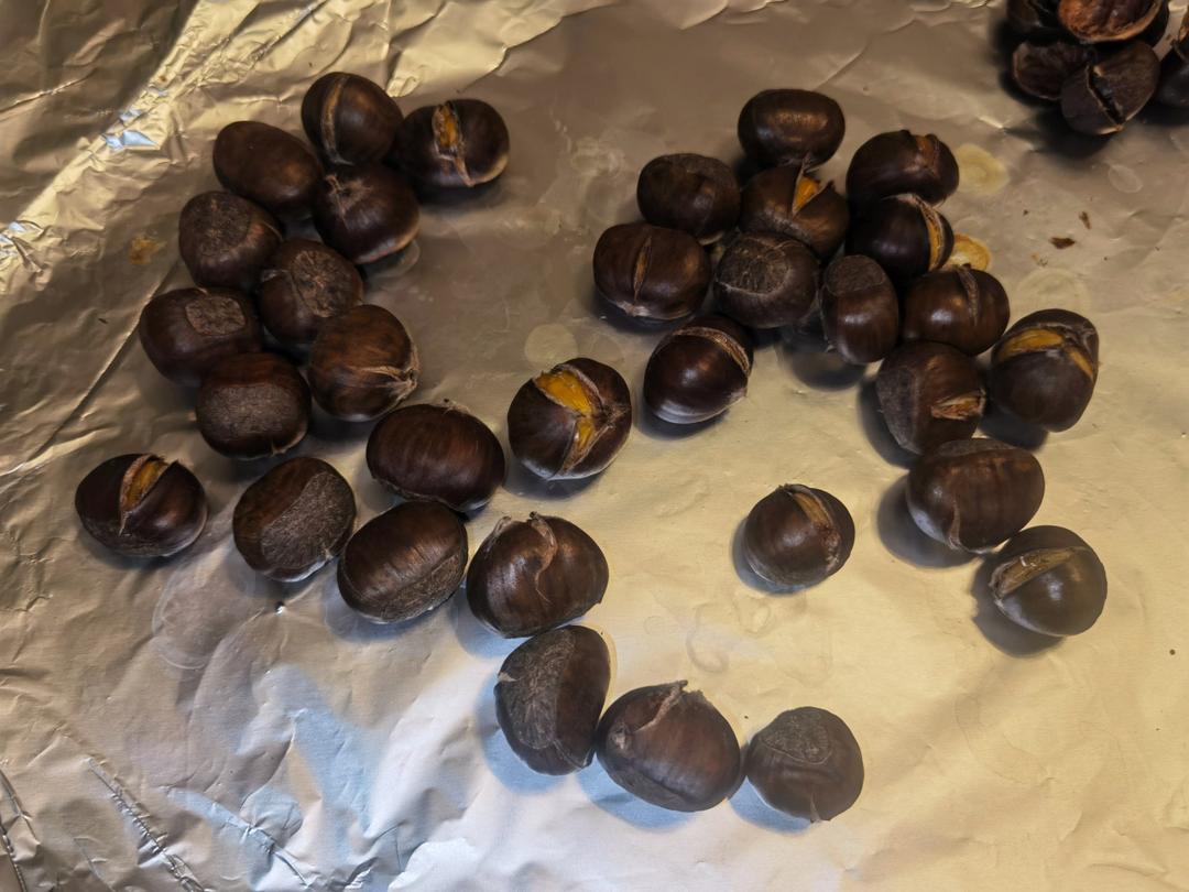 新手零失败烤栗子