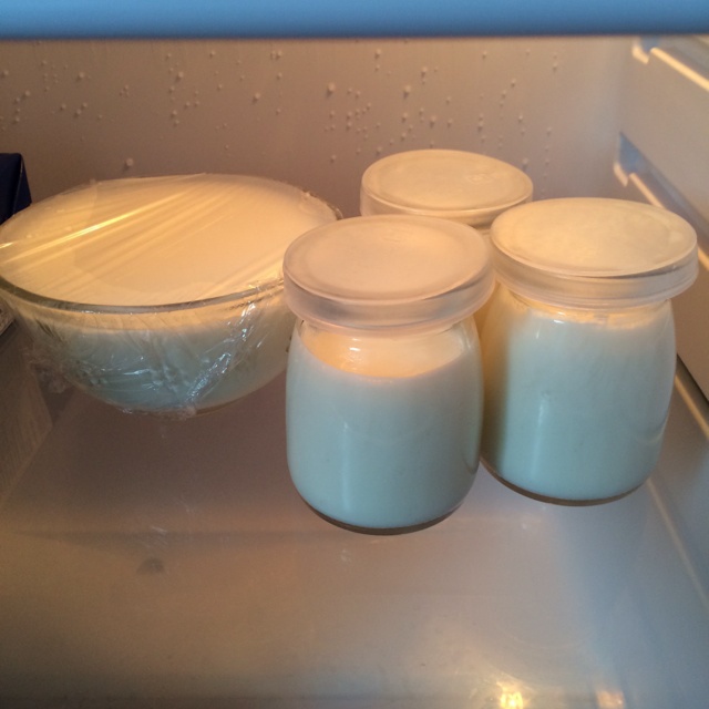 烤箱酸奶（长帝+川秀）