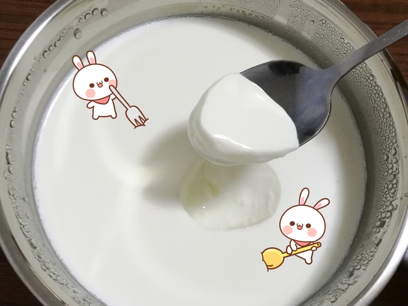 完美复刻老酸奶～乳酸菌版的做法
