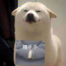 微信用户_VZmk