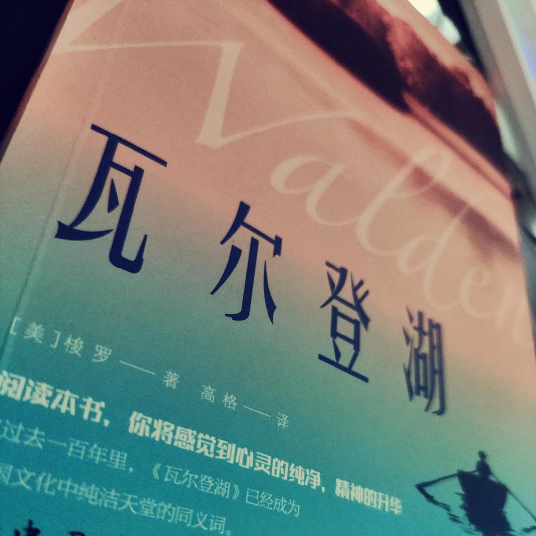 亦可龙