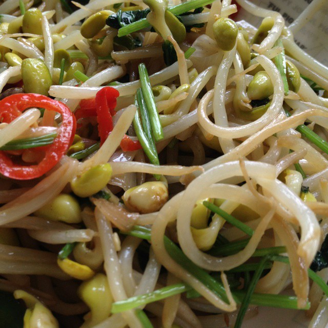 家常菜 清炒黄豆芽 一个吃货-1做的清炒黄豆芽