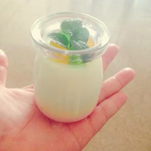 薄荷牛奶布丁