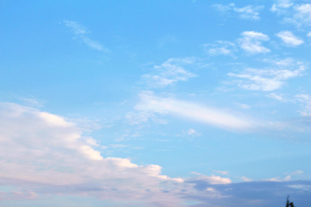 好女子温良恭俭让