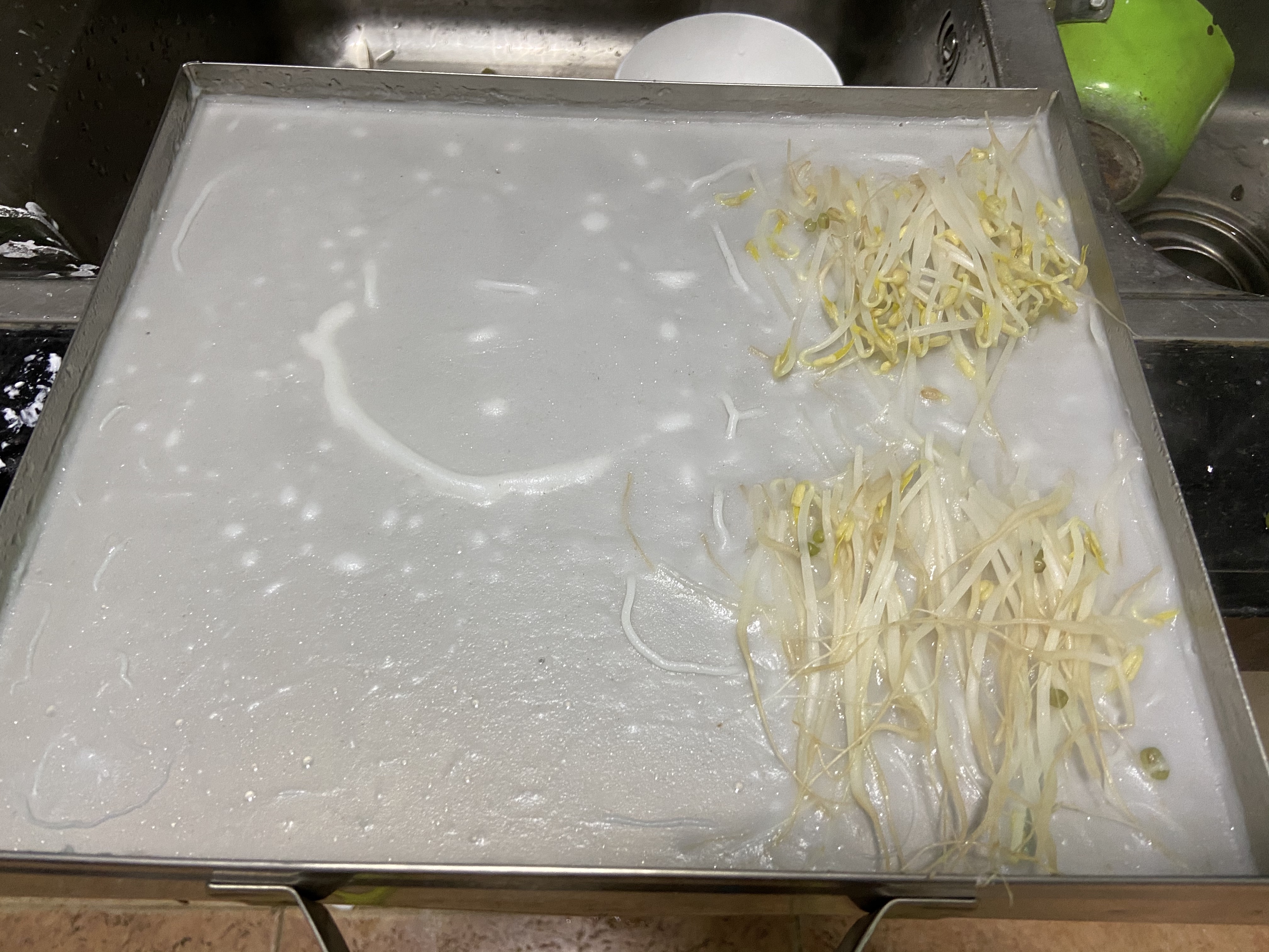 纯米浆手工肠粉的做法 步骤5